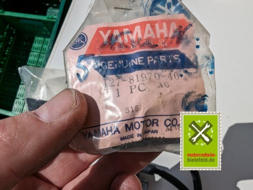 PXL_20240523_111555798